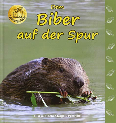Dem Biber auf der Spur: Bilderbuch (Spannende Natur)